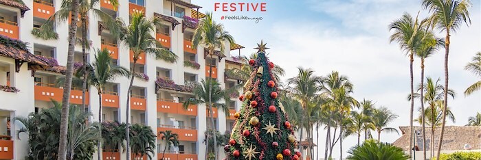 2026 Festive - Last Chance