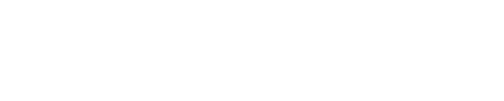Hotel Velas Vallarta logo