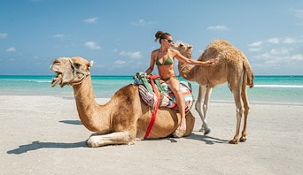 Grand Velas Los Cabos Luxury All Inclusive