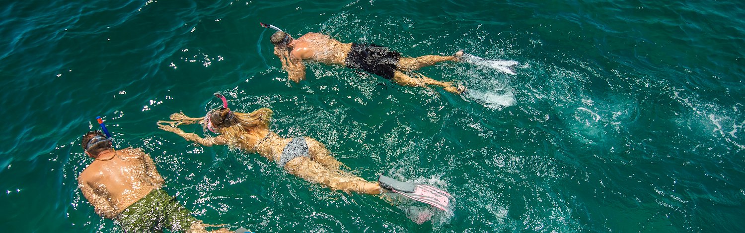 Four people snorkeling in the ocean, Grand Velas Los Cabos, San Lucas, Mexico