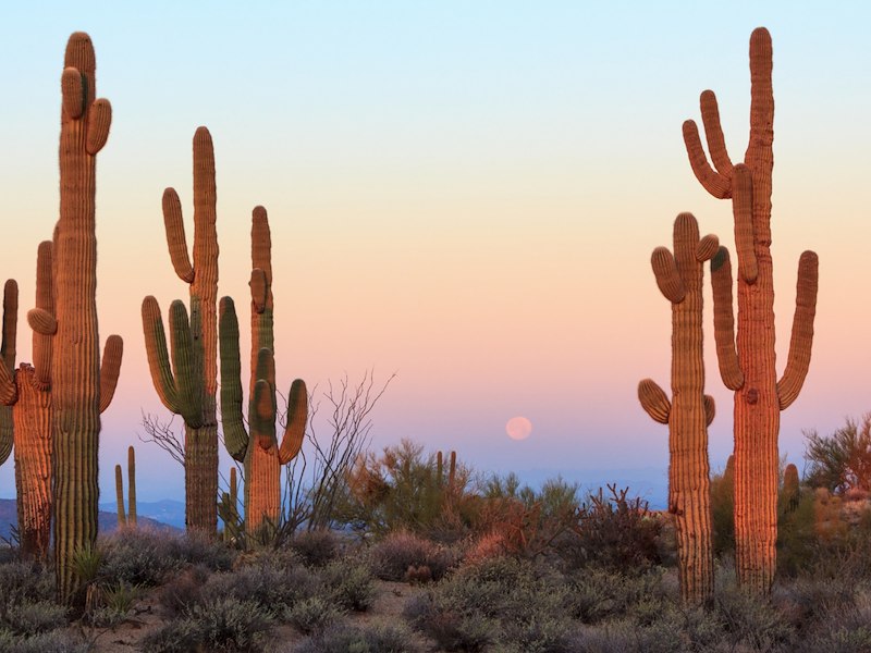 Things to do in Phoenix