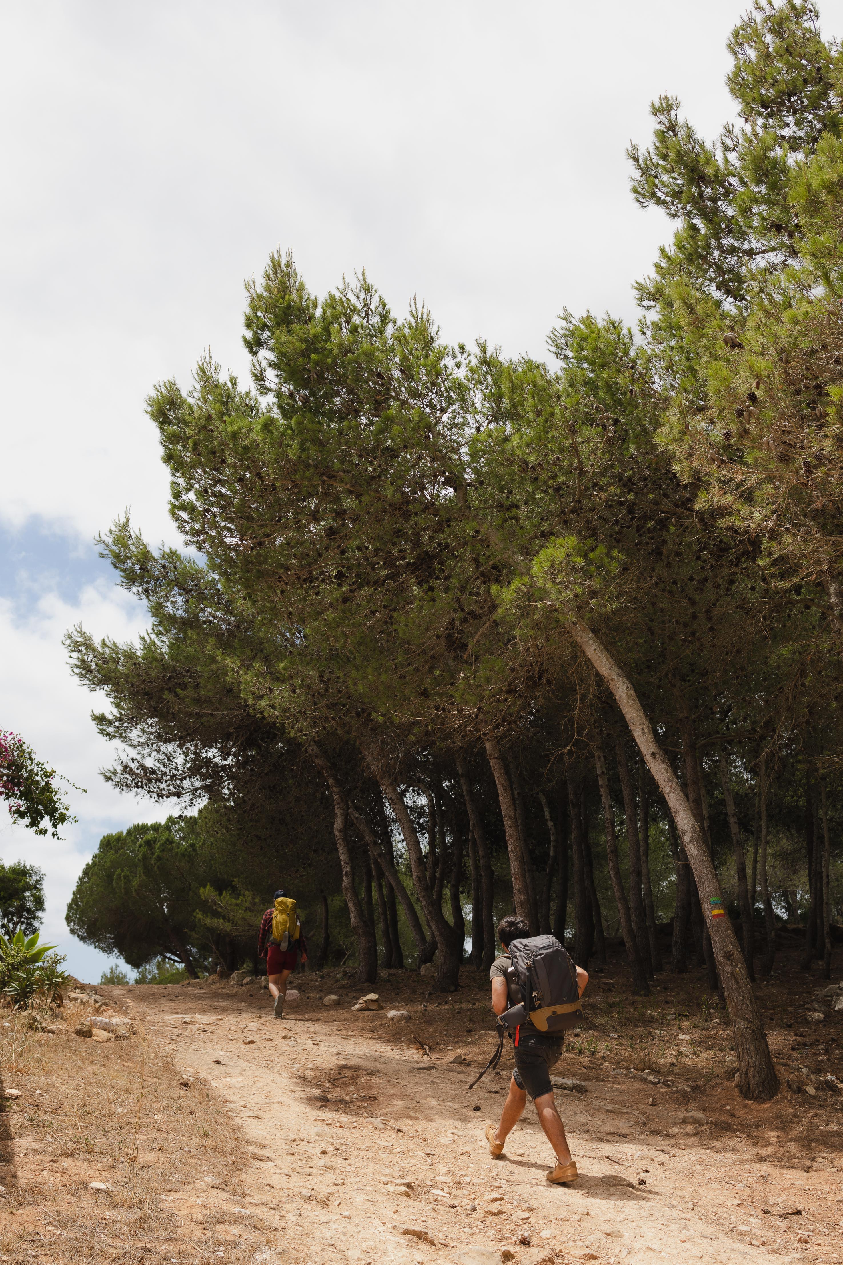 Hiking and trails in Salema in the Algarve
