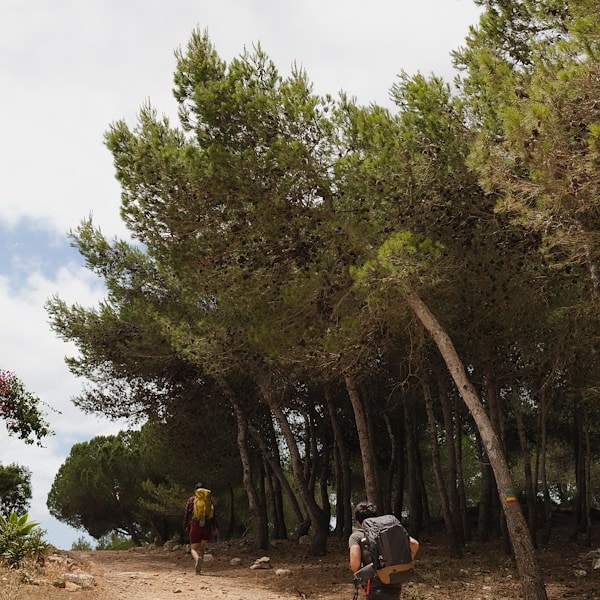 Hiking in Salema