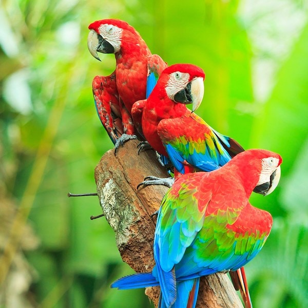 Meet animals and Birds in Lagos Zoo, Portugal