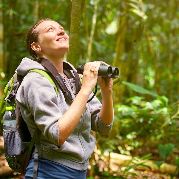 Capture the beauty of Algarve wildlife in Portugal