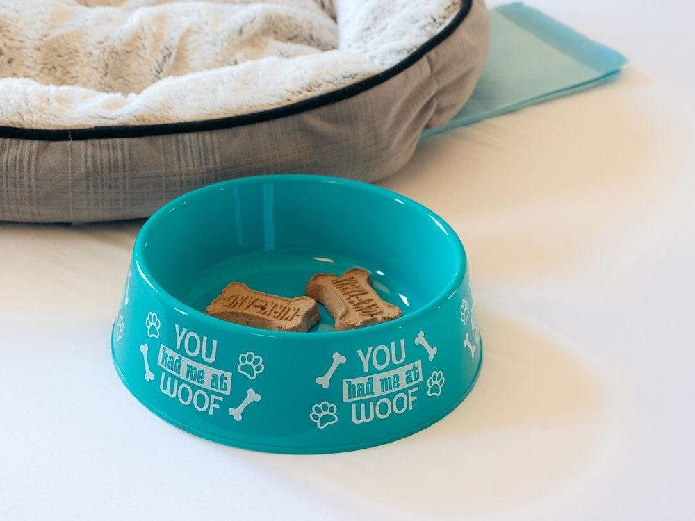 Personalized pet bowl at Hotel Triton Union Square San Francisco