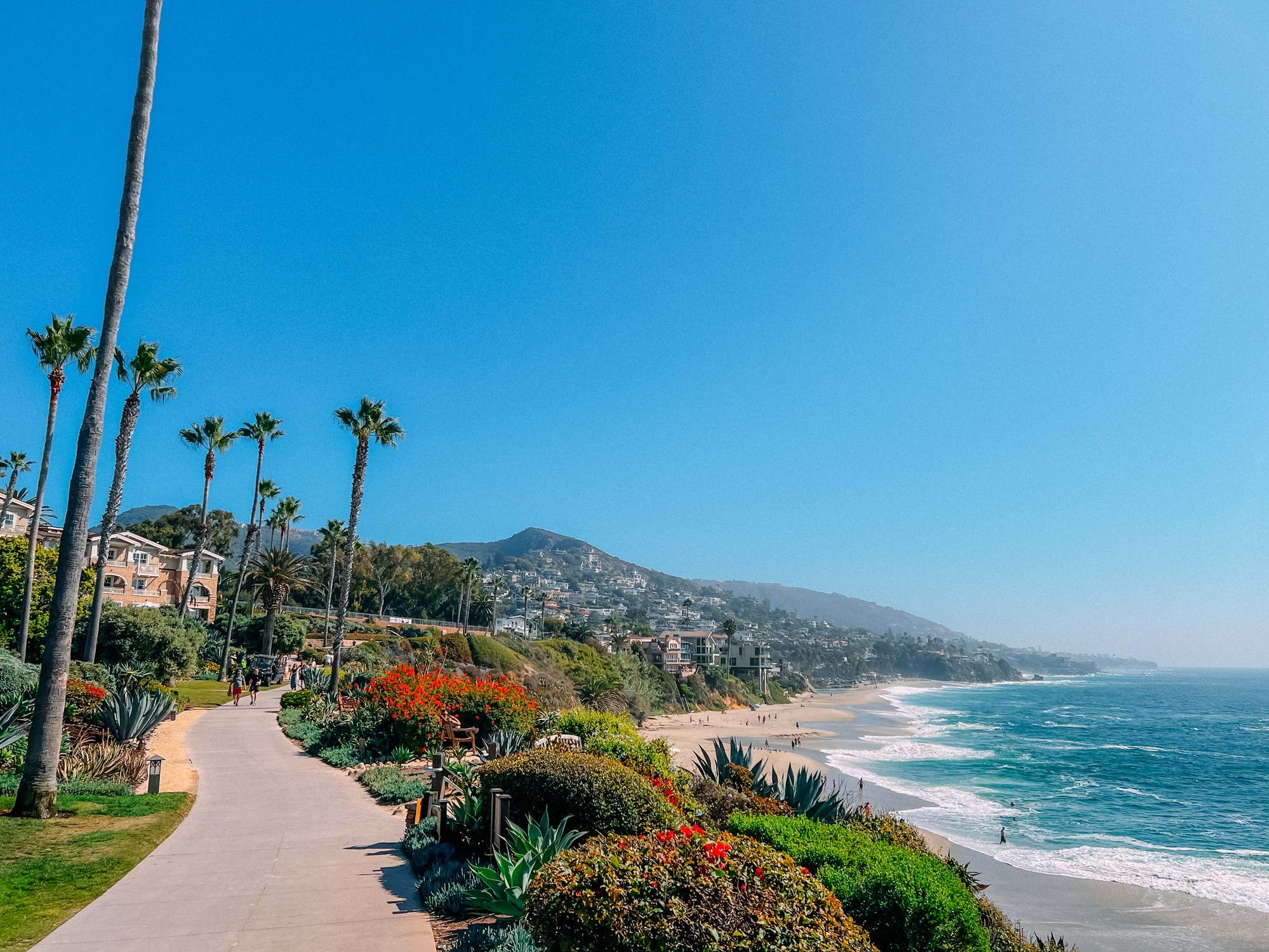 A scenic beachside path with palm trees, gardens, and a view of the ocean and mountains.