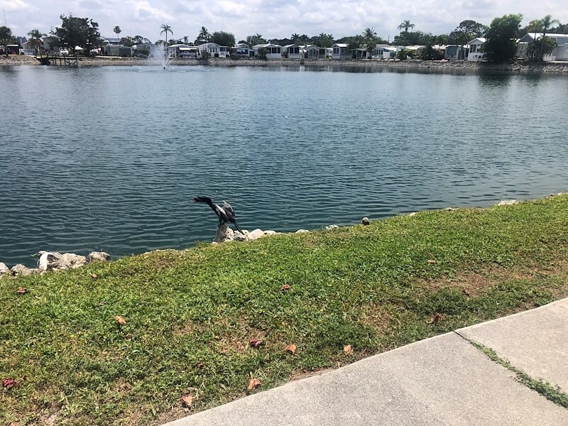 Vacation Home Sales LSM Lake San Marino 1000 Wiggins Pass Rd L33