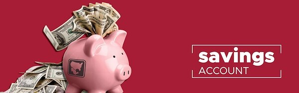 IBC Bank International Savings Accounts
