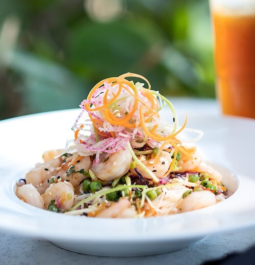 cobalt vero beach dress code Vero Beach Restaurants