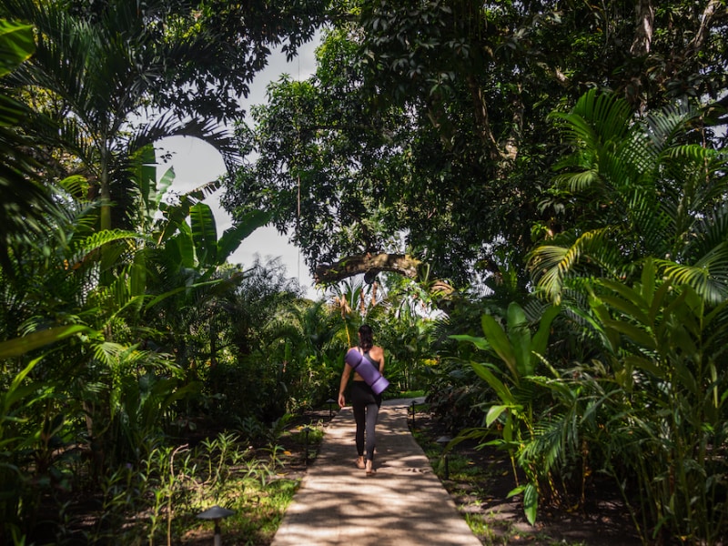 Jungle walk at kaana gardens