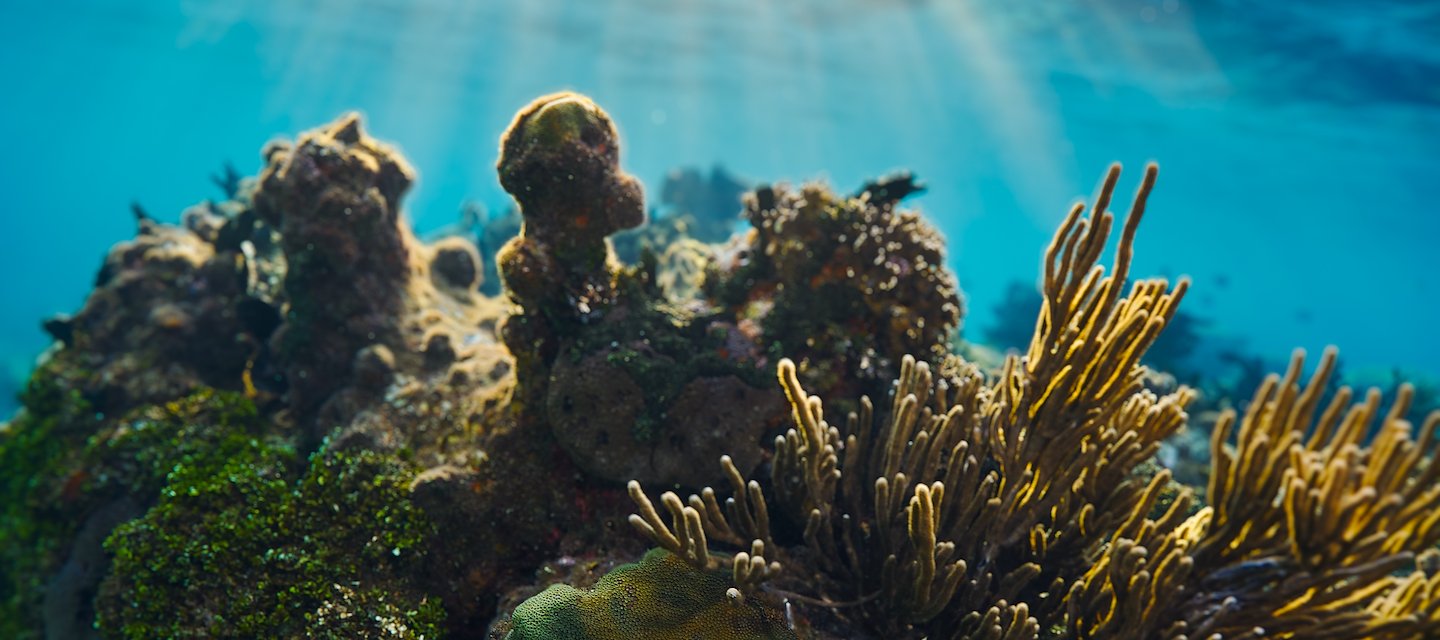 Excursiones en el mar y excursiones culturales Itz'ana Belice