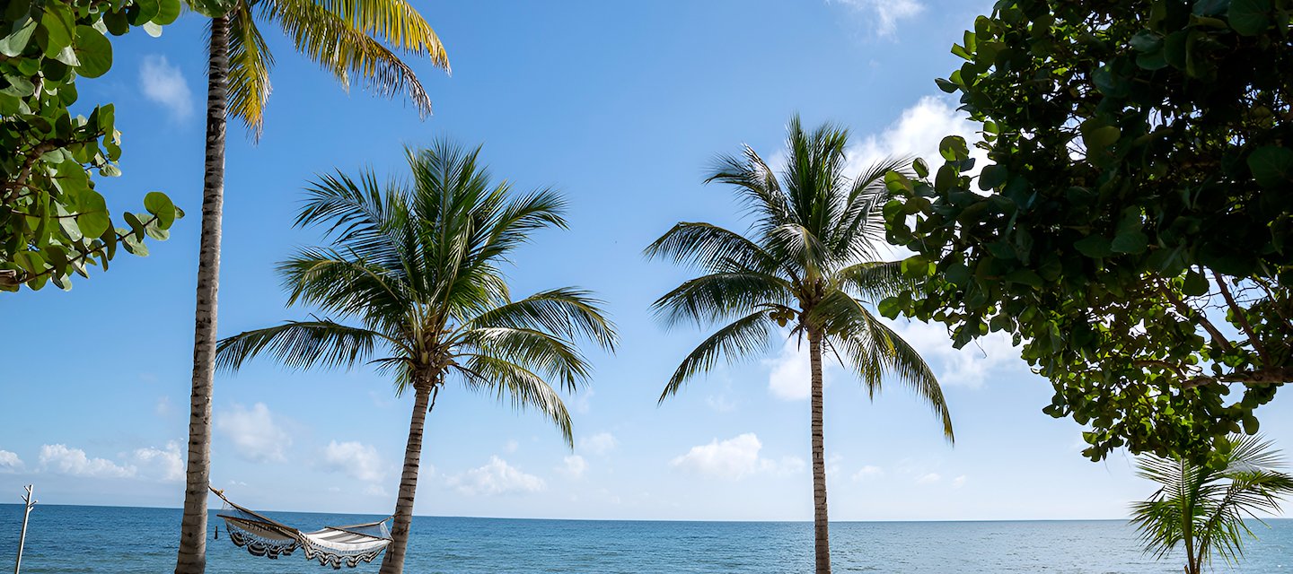Beachfront Moments with Your Best Companion
