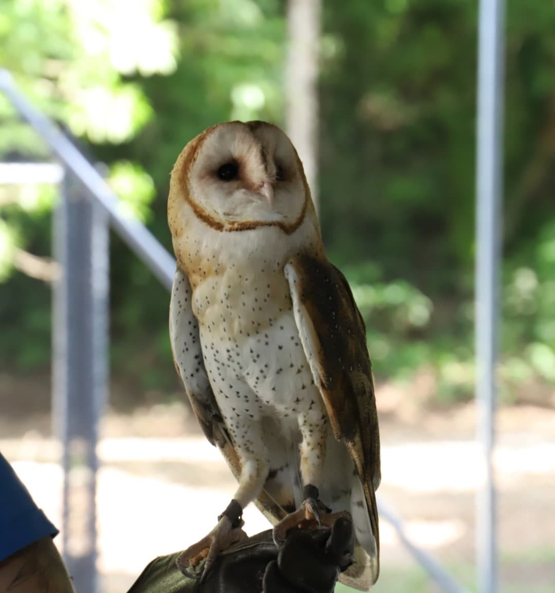 Extraordinary Birding Experiences