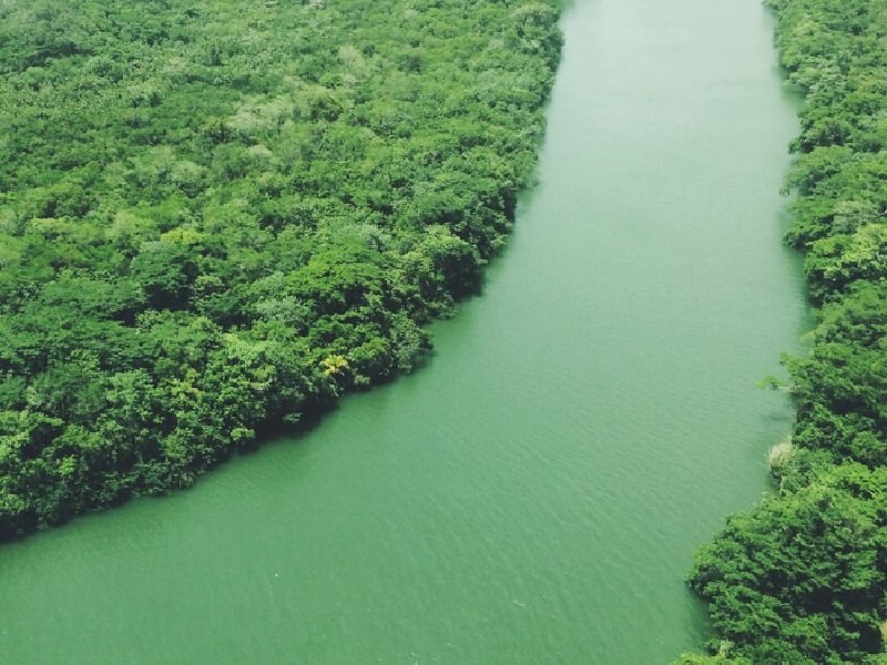 A river with trees around it