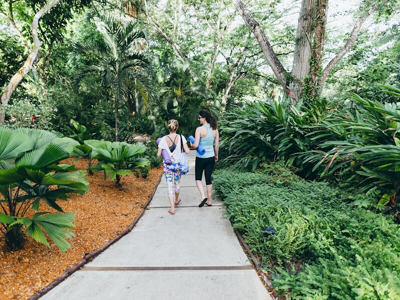 Frinds walkin in the Jungle for a wellness reteat
