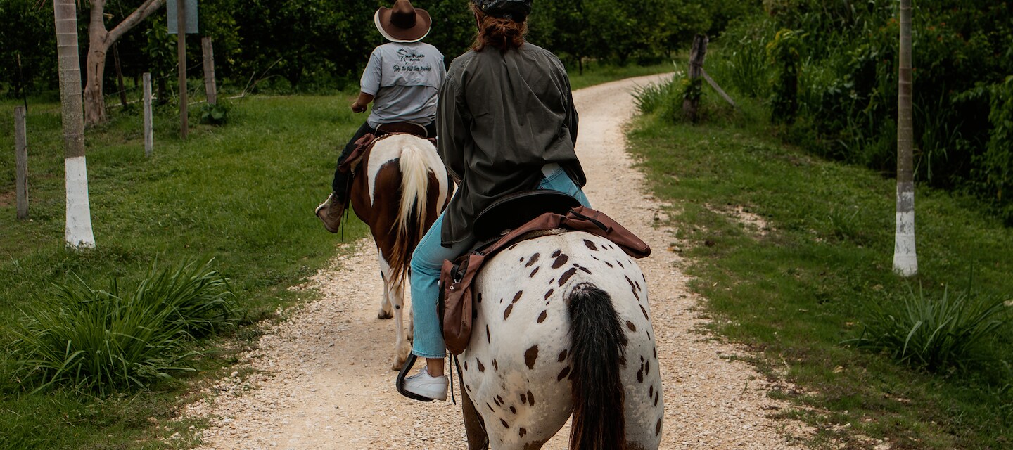 Horseback riding slows the landscape down