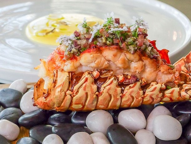 Exclusive Dining Menu at Ave Restaurant, Grand Cayman, The Cayman Islands