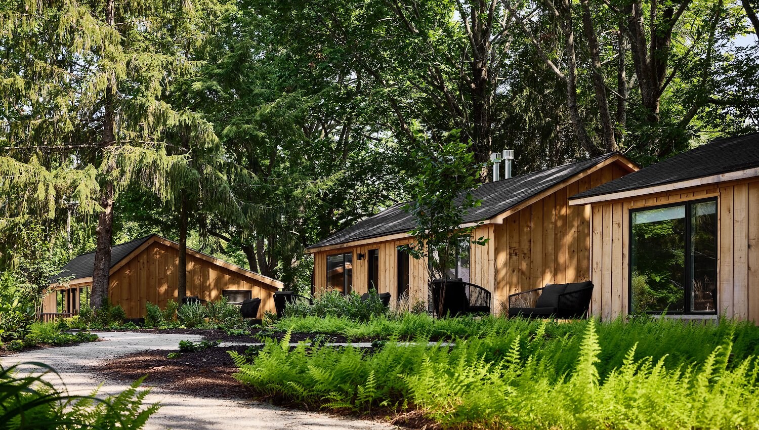 Wooden AWOL guest cabins surrounded by lush ferns and trees in Kennebunkport Maine