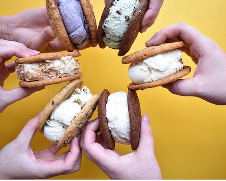 Sunshine Sammies 