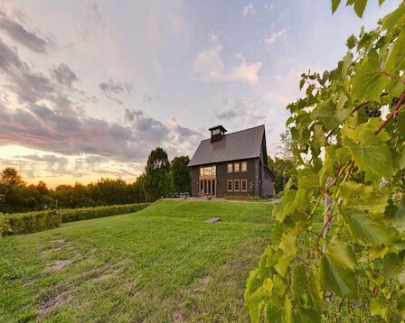 Shelburne Vineyard 
