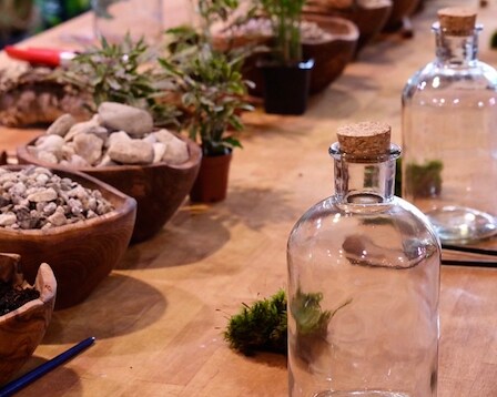  Terrarium 