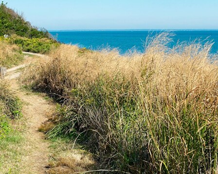  Clay Head Nature Trail 