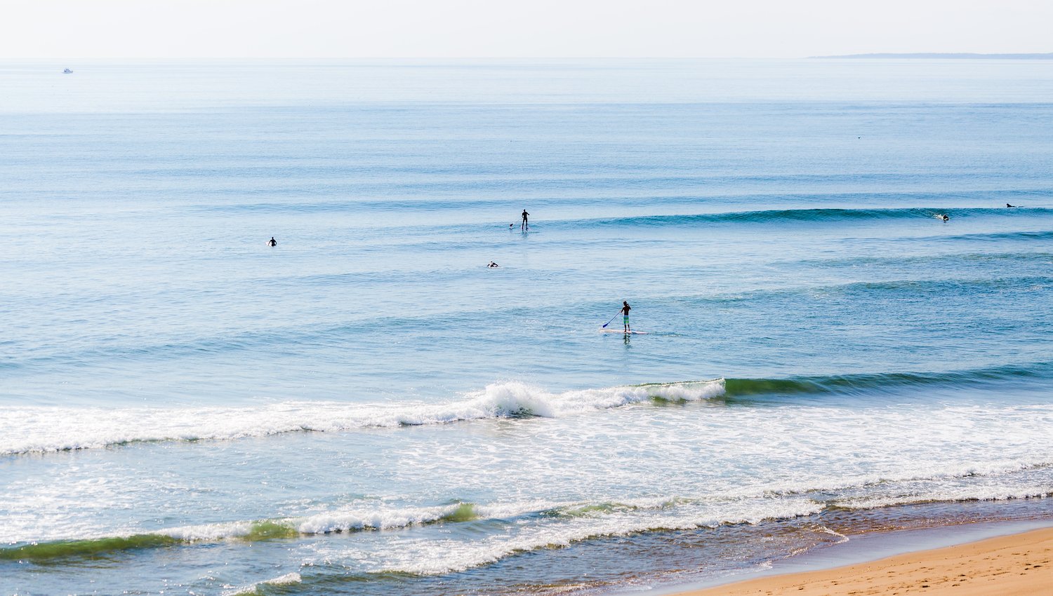 Lark Hotel's Guide to Plum Island/Newbury