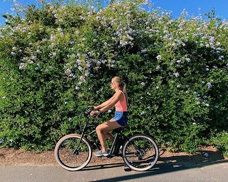 Cape Cod Rail Trail 
