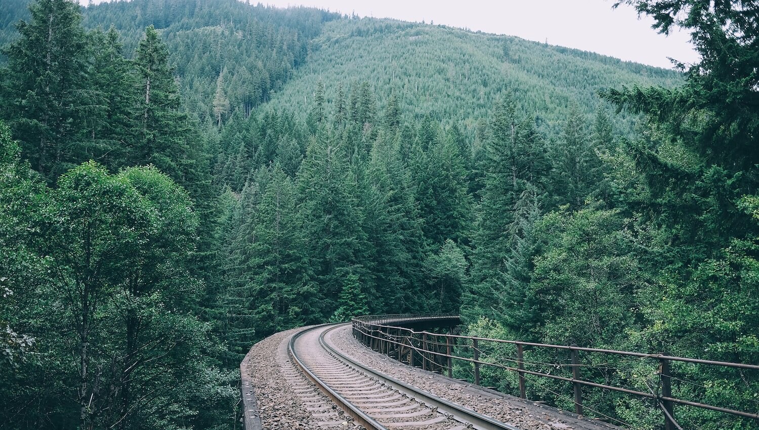 Train tracks curving through a dense forest in Saratoga Springs, NY
