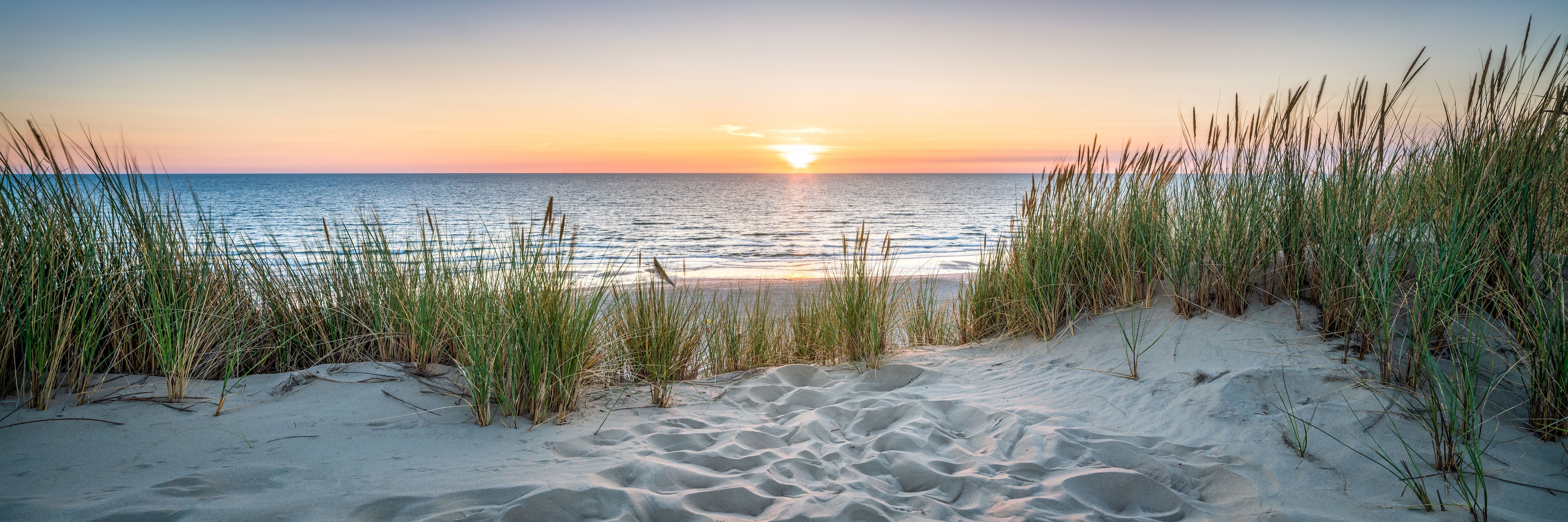 Beach on Cape Cod showing sand and plants at sunrise