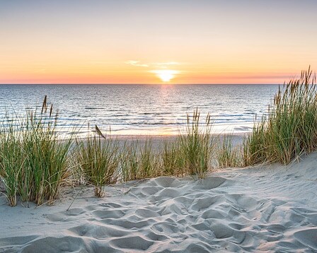 Sea Street Beach 