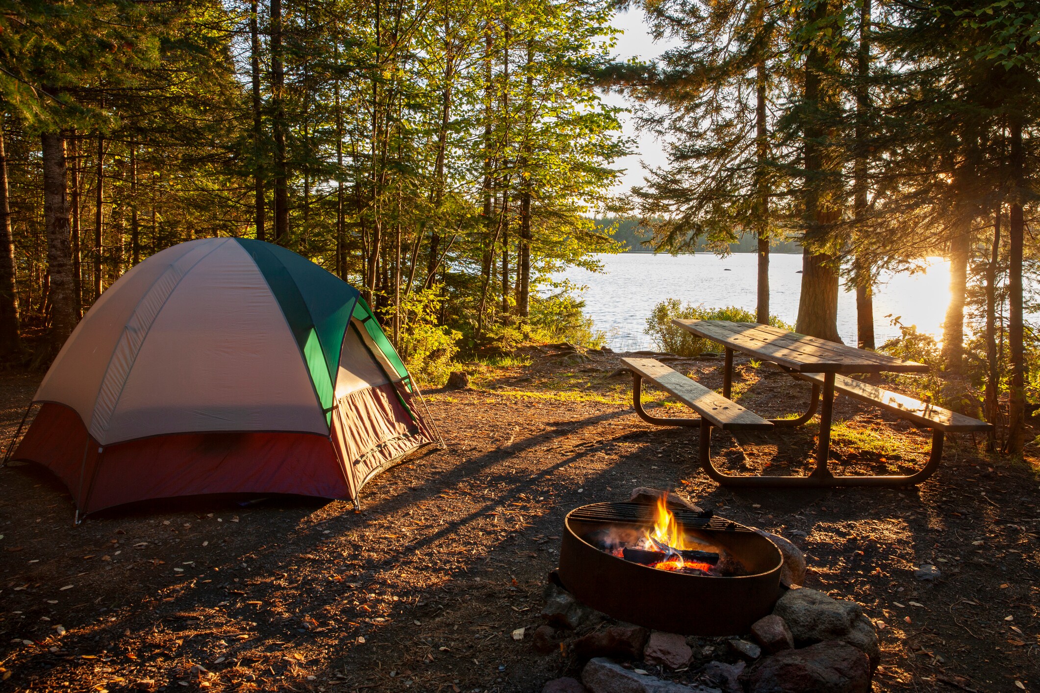 Valle Vidal Wilderness Area