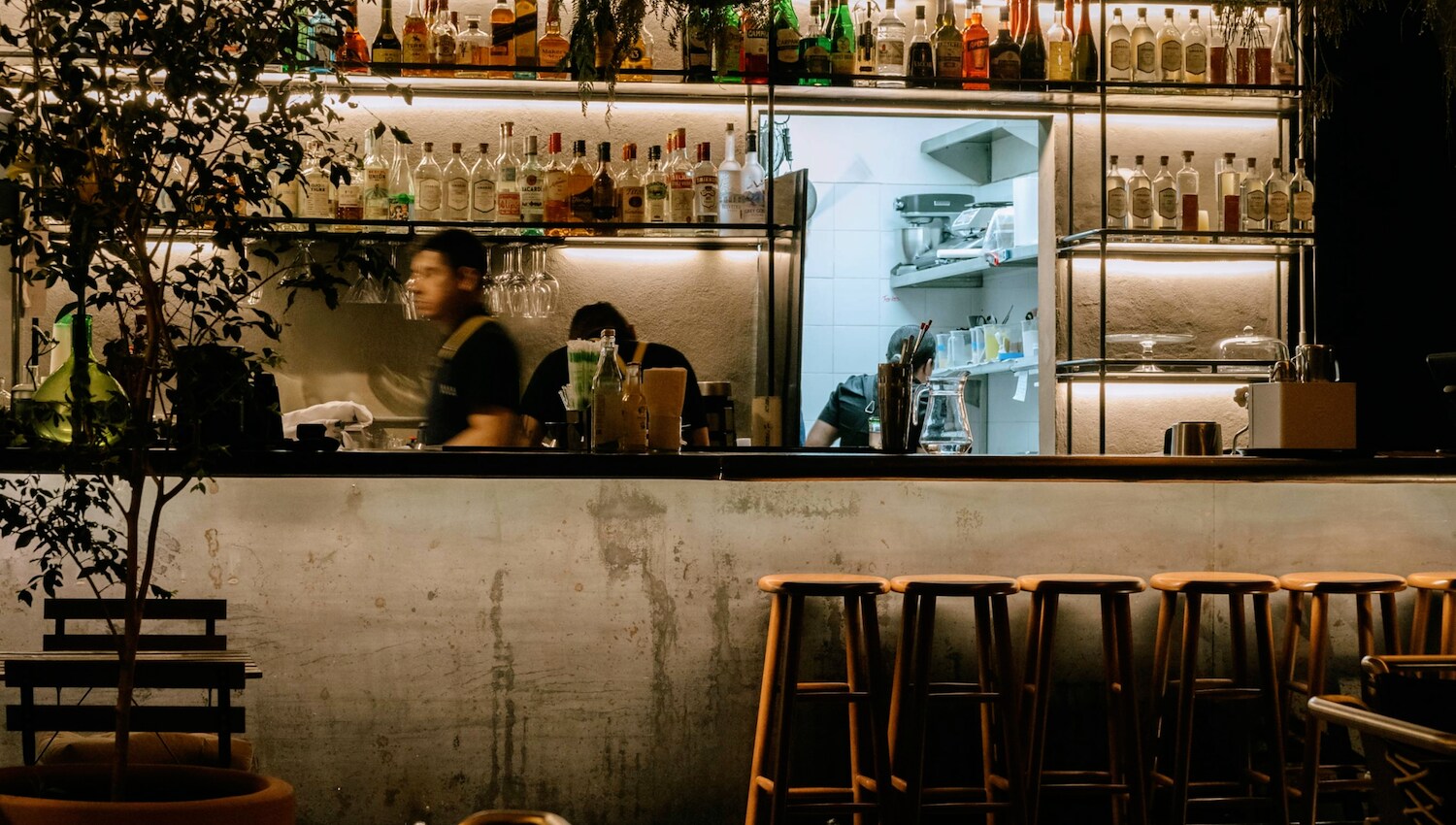 The main bar area at Dama Terraza