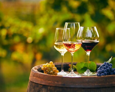 Kendall-Jackson Wine Estate & Gardens, Santa Rosa