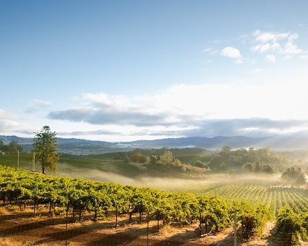 Paradise Ridge Winery