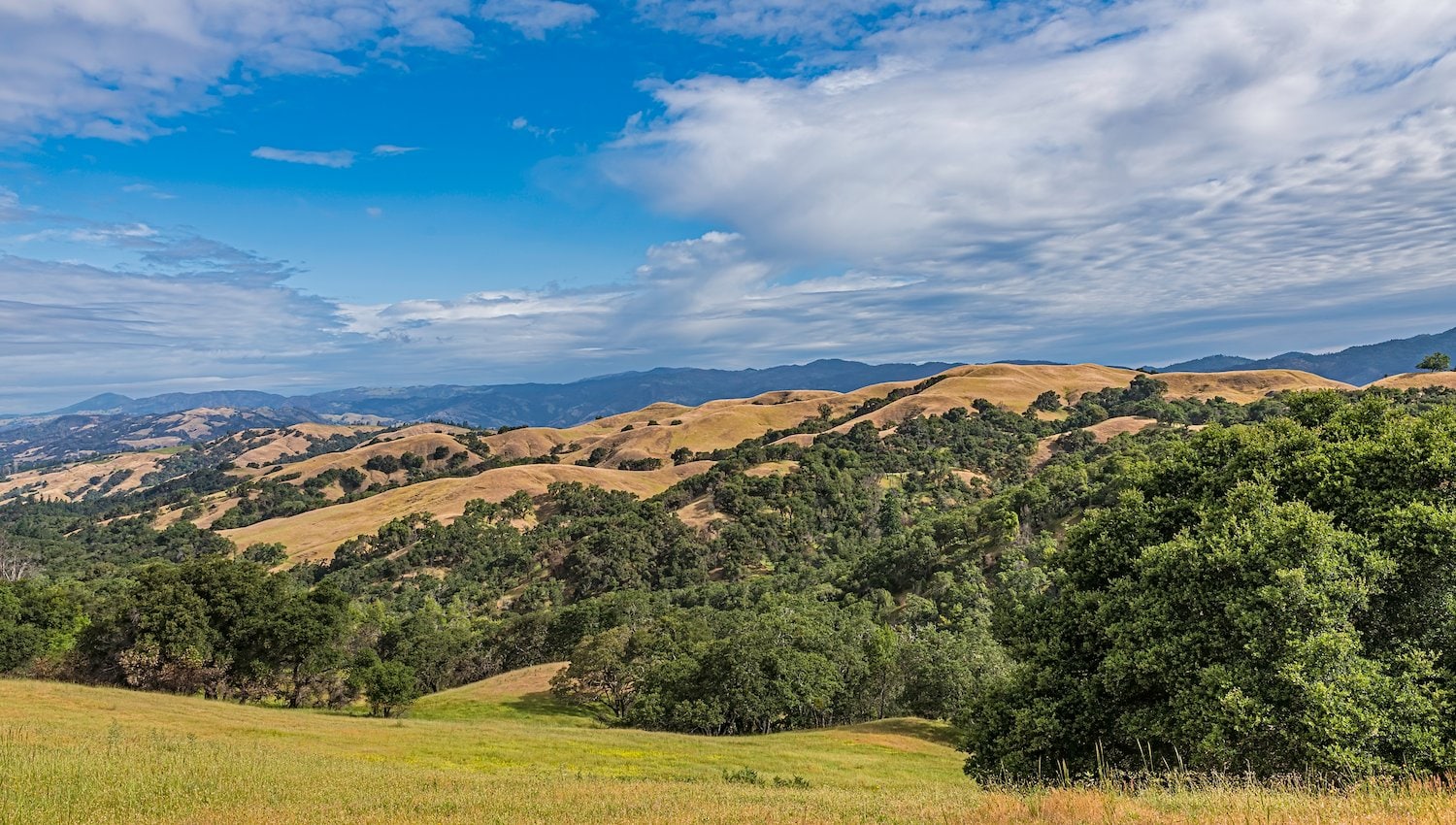Pepperwood Preserve California