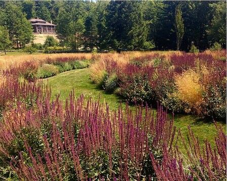 Mountain Top Arboretum 