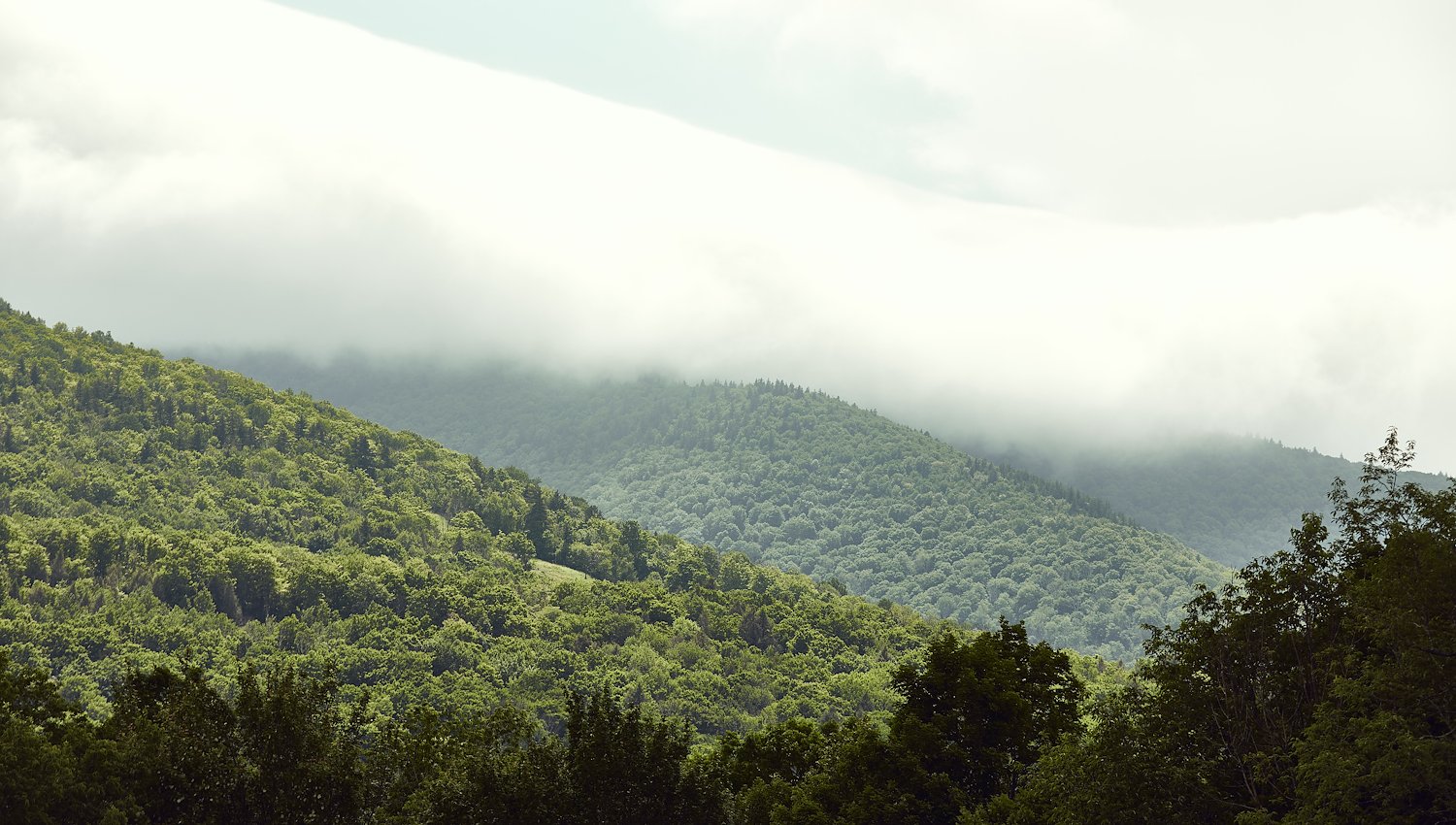 Hunter Mountain 