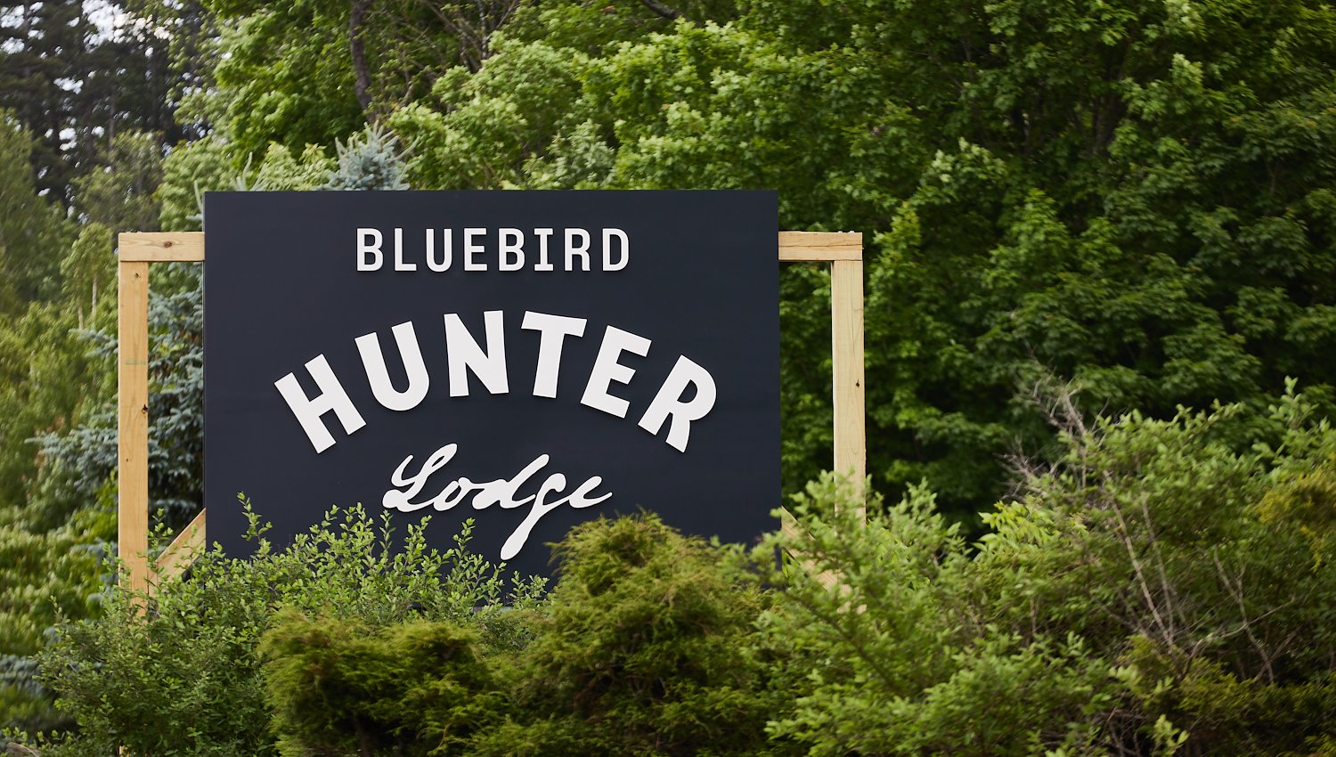 Offers at Hunter Lodge, a Bluebird by Lark, Hunter, NY