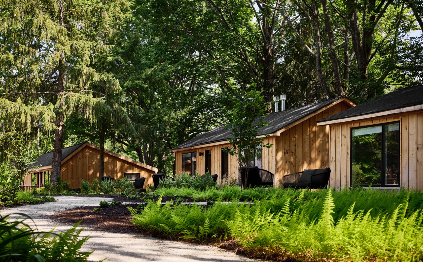 Two rustic cabins nestled in a lush forest, surrounded by tall trees and vibrant green plants