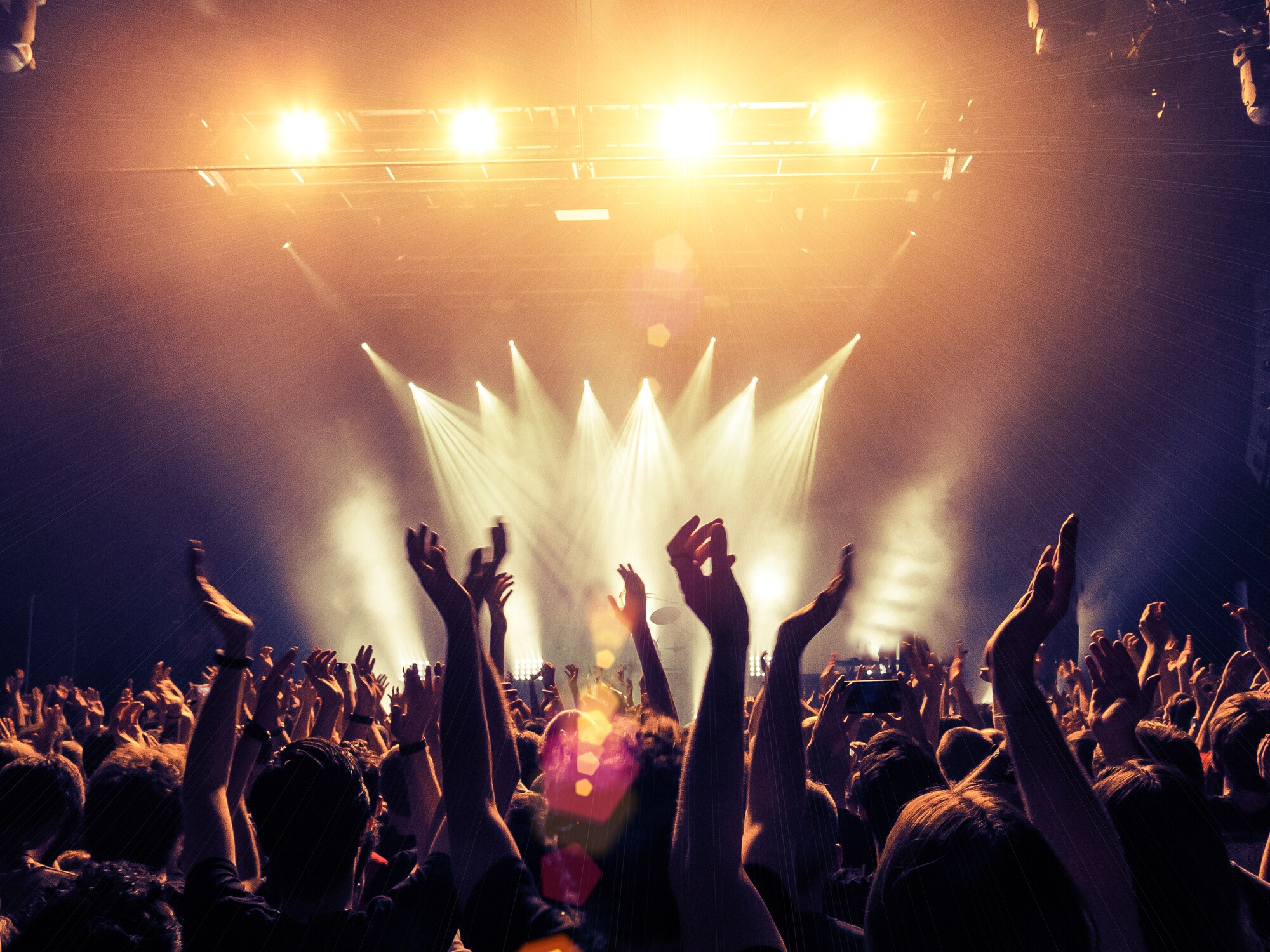 lively crowd concert in Lark Hotels