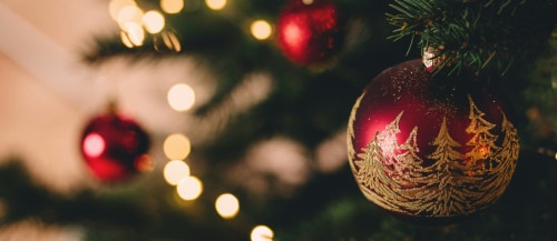 close-up of christmas tree