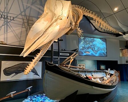 Whaling Museum 