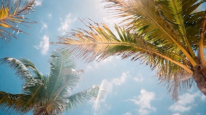 Week Escape