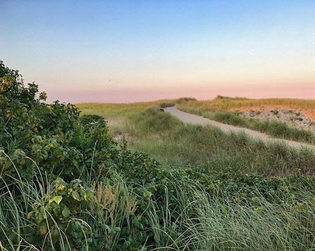 Hardings Beach 