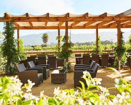Honig Vineyard and Winery, Rutherford, California