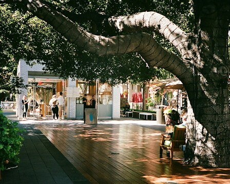 Orlando International Premium Outlets
