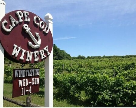Cape Cod Winery 