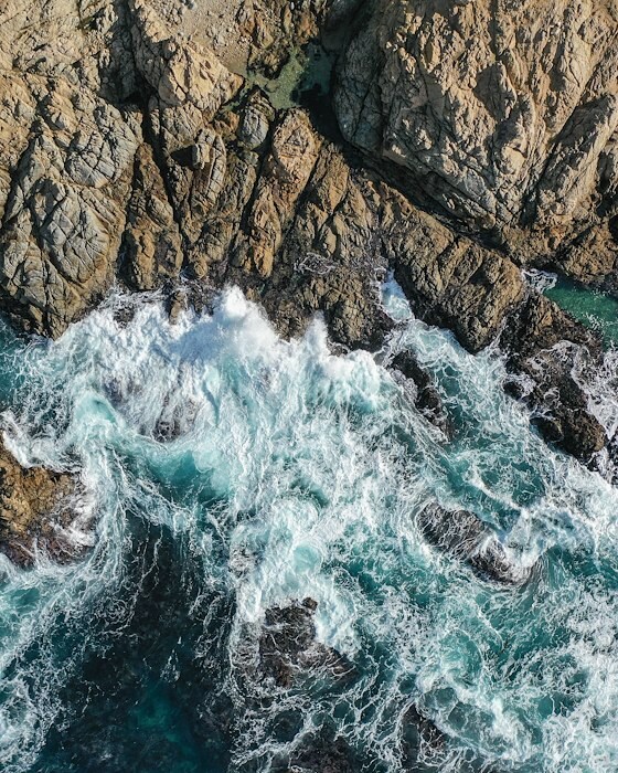 Things to Do in Carmel-by-the-Sea, CA | Local Guide - Lark Hotels